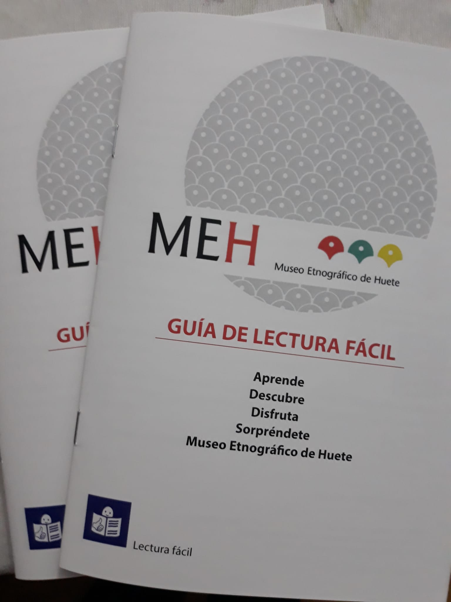 MEH_guia_lectura_facil